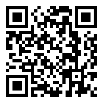 区域的生存小队游戏