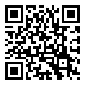 警察执勤模拟器手机版