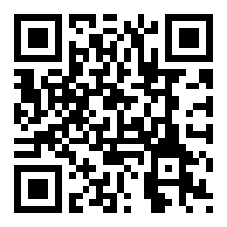 黑色星期五之夜Liz模组