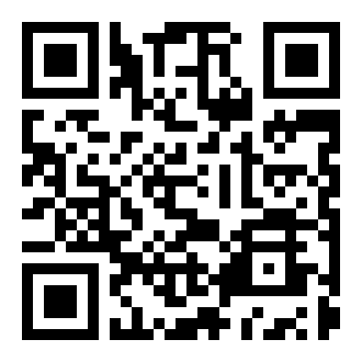 蜘蛛网大作战游戏