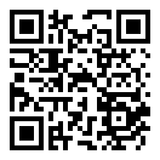 大城市飞驰快递模拟器中文版