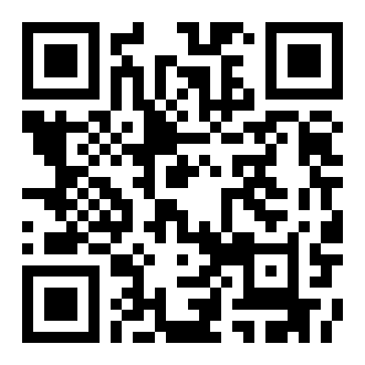 双偷盗宝手机版