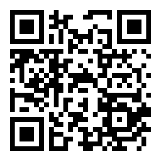 间谍危机中文版