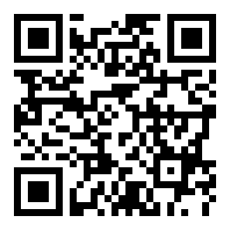 我用盾贼6小游戏