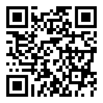 神偷鲍勃2：双重麻烦