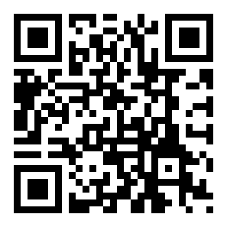 小鸟城市手机版  v1.0.0