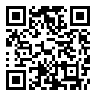 街头赛车手城市之行