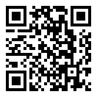 总统警车车队中文版