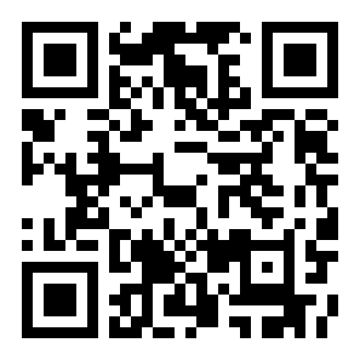 索尼克闪电战车