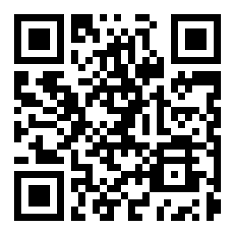 真正的警察模拟器