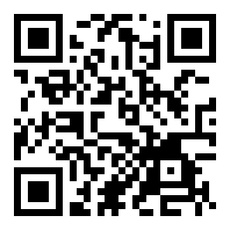 野马驾驶停车中文版