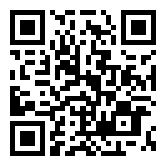 口袋妖怪日月宝石八木特别篇