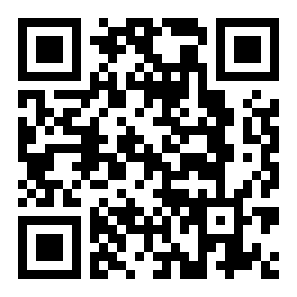 丛林鸟大冒险手游