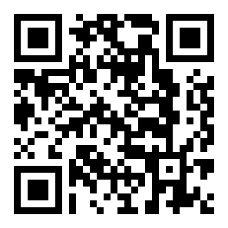 Hassle 1977中文版