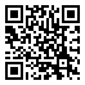 城市猎人法国真人版