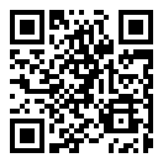 秃头特工中文版