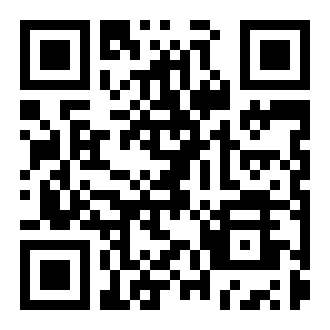 侠盗大佬模拟器破解版