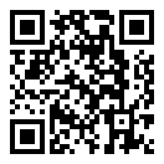 口袋公司续篇中文