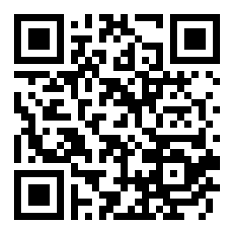 实光宝藏神偷游戏