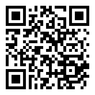 神偷大师破解版