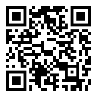 宫廷的遥映中文版