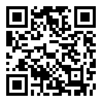 保罗街头之战游戏