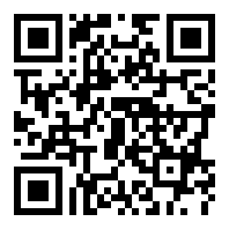 忍者五五开游戏