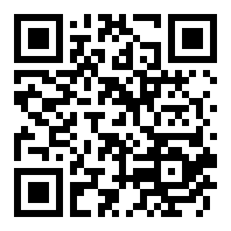 野兽先生工艺2021游戏