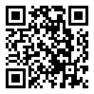 口袋城市2破解版