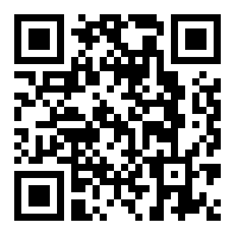 印度乔警察游戏