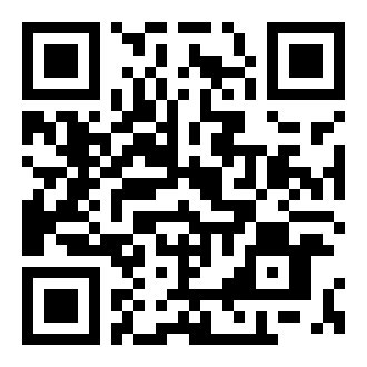 夜鸟协会神奇之旅游戏