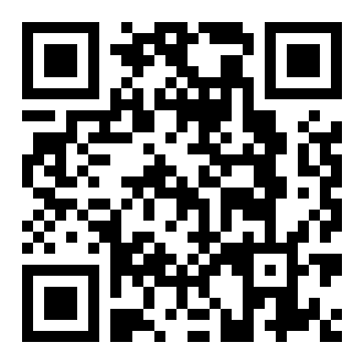 街头野猫的故事游戏