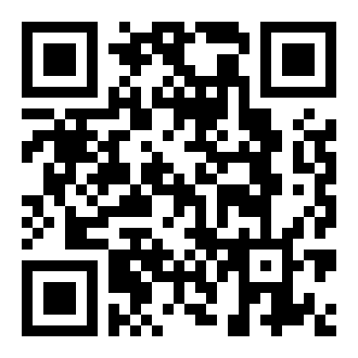 忍者武士岚2中文版