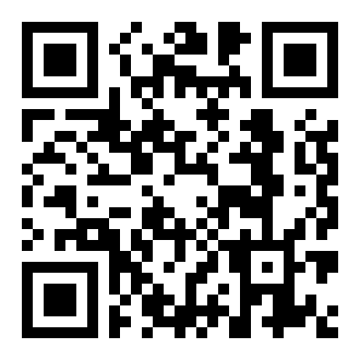 橙牛违章查询app
