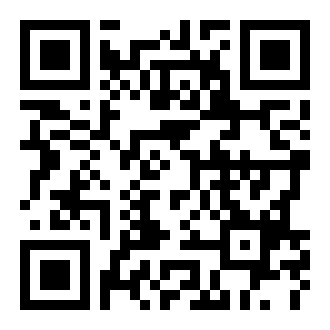 轻蜂网络助手app