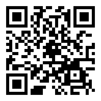 代练丸子app