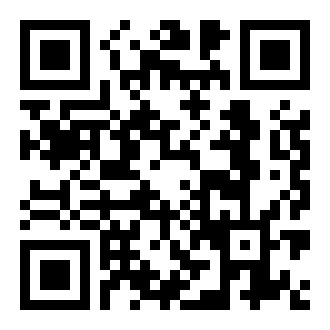 丸子极速版APP