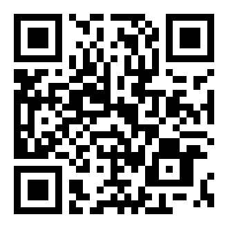 P王者电子app