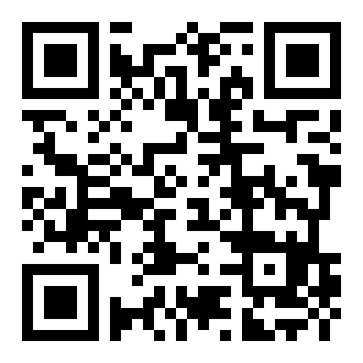 rfs真实模拟飞行破解版涂装