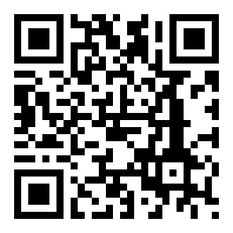 斑马车主极速版