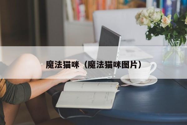 魔法猫咪（魔法猫咪图片）