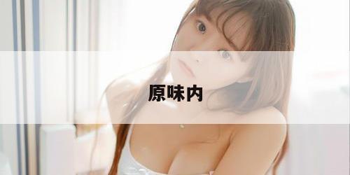 原味内
