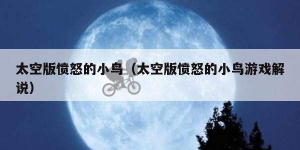 太空版愤怒的小鸟（太空版愤怒的小鸟游戏解说）