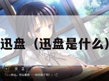 迅盘（迅盘是什么）