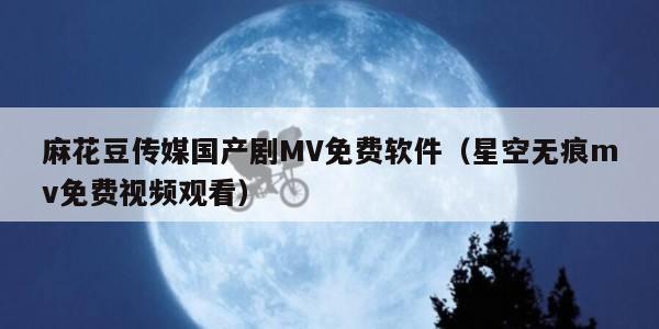 麻花豆传媒国产剧MV免费软件（星空无痕mv免费视频观看）