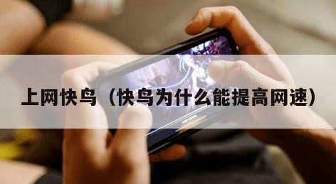 上网快鸟（快鸟为什么能提高网速）
