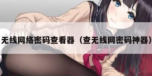 无线网络密码查看器（查无线网密码神器）