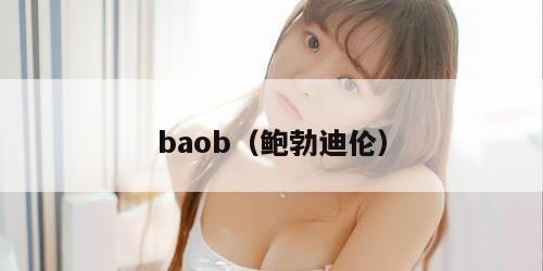 baob（鲍勃迪伦）