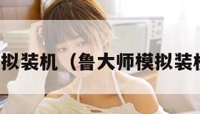 模拟装机（鲁大师模拟装机）