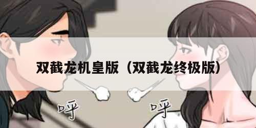 双截龙机皇版（双截龙终极版）